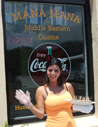 Mana Mana Middle Eastern Restaurant Clearwater